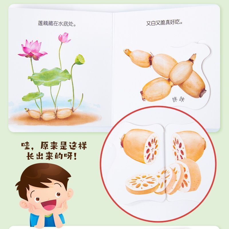 كتاب فليب بوك لتعليم أغذية الأ - مراجعة Baby Food Year Old وسعره