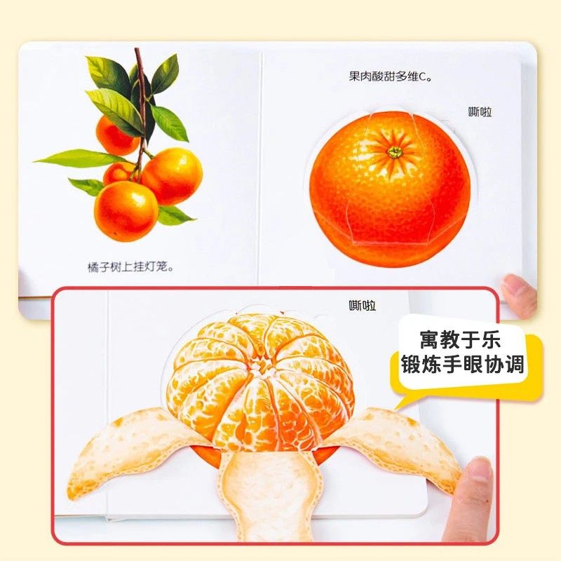 كتاب فليب بوك لتعليم أغذية الأ - مراجعة Baby Food Year Old وسعره